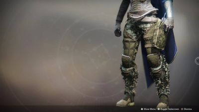 Armor Ornament - Destinypedia, the Destiny wiki